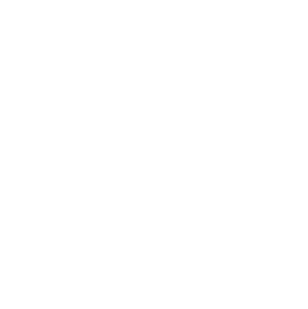 Asztalos Budapesten